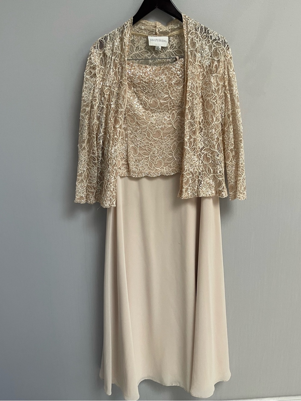 David's Bridal Beige Lace Overlay Dress Set
